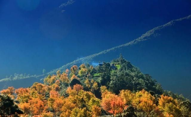 生长|云之南，一个生生不息、万物生长的地方