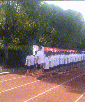 自由|搞笑GIF:没有什么能够阻挡,你对自由的向往