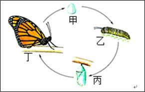  生物圈|初中生物——精选易错题100道，考前多练习！