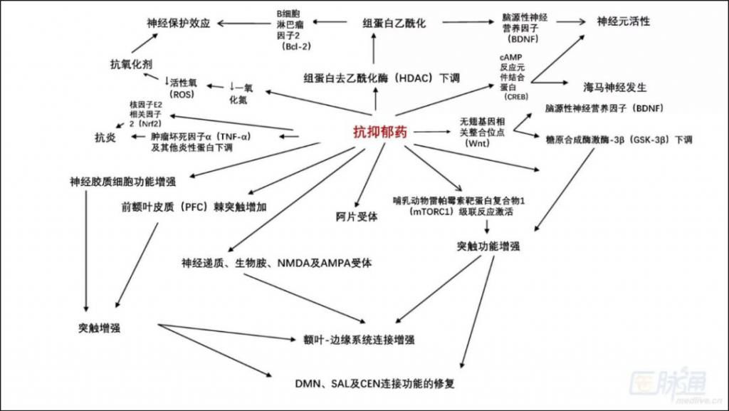  元凶|大脑异常？遗传？心理？抑郁症的“元凶”到底是什么？