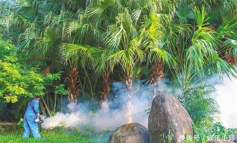  致倦库蚊|为什么蚊子总爱咬你？选择驱蚊方法居然有这么多讲究？