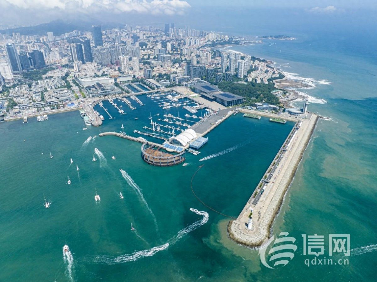 深度融入共建“一带一路”朋友圈 青岛十年耕耘春华秋实