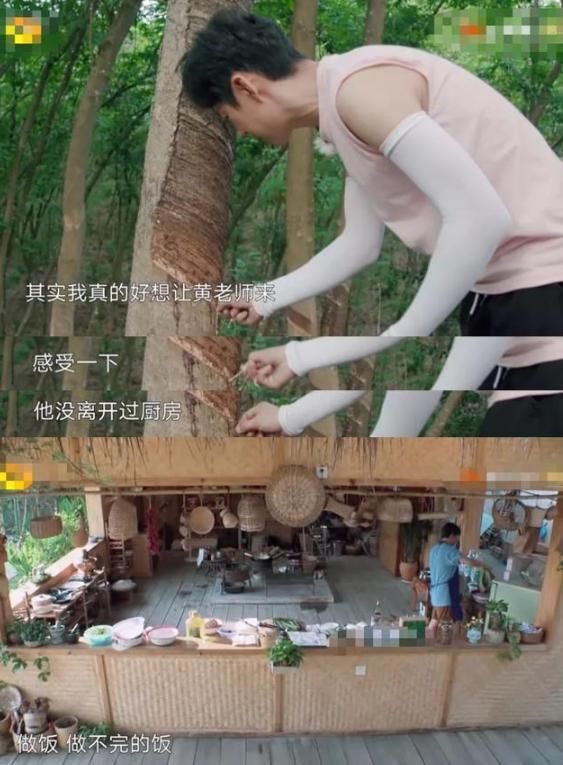  孙莉|《向往的生活》安逸假象曝光，黄磊厨房更像炼钢炉，孙莉劝他退出