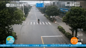  主人|大黄狗撞上电动车“肇事逃逸”，民警反复看监控找到狗主人