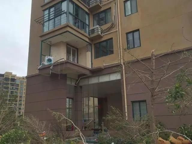  家属|台风天坠亡女子家属要求鉴定房屋质量：一栋楼至少7家窗户被吹毁