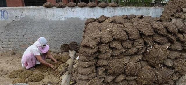  发电|印度人表示，公交车领先中国20年，坐一次一毛钱，用牛粪发电