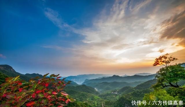 大丰收|云台山大丰收！快，抢先看