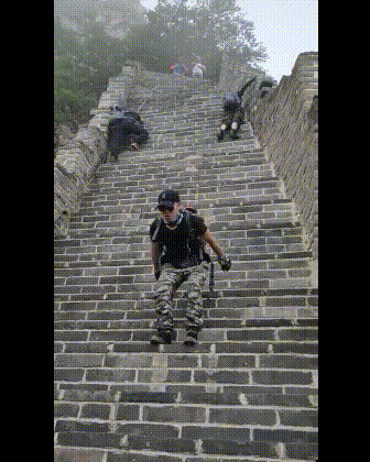 搞笑|搞笑GIF：你都这么胖了还不下来走走！