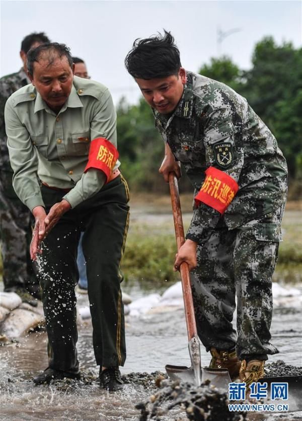 大堤|长江大堤上的“父子之约”