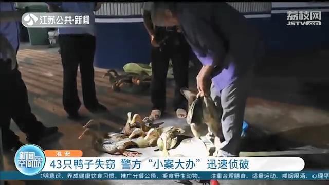 小案|兄弟俩临时起意偷了农户43只鸭子 警方“小案大办”迅速侦破
