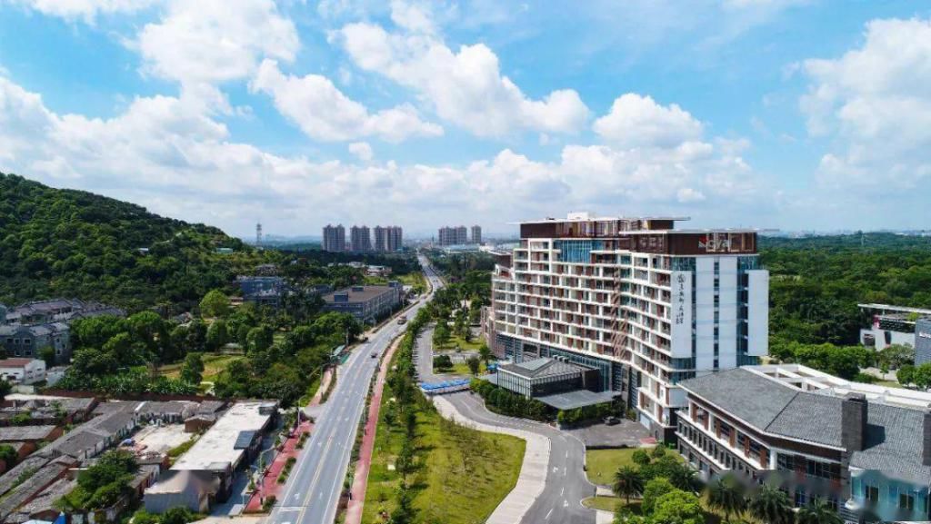  乘风破浪|仙进奉“乘风破浪”，今年仙村镇总产值超5亿！