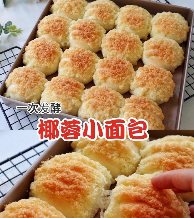  小面包|一次发酵同样松软的椰蓉小面包