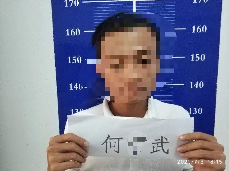  涉嫌|涉嫌诈骗、寻衅滋事等犯罪，万宁警方抓捕劝投6名在逃人员