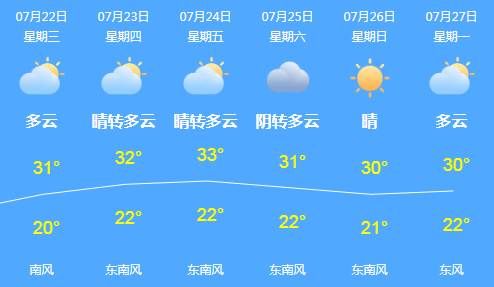  名字|一个人竟有三个名字？装病发、吃霸王餐……六年前的这一幕再现！
