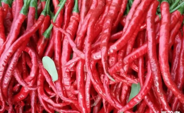 脆爽|想吃坛子肉不要出去买,教你在家做,香辣脆爽,比牛羊肉还好吃