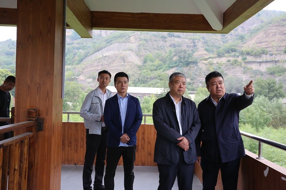 乡村|杨澎调研金城办乡村振兴产业发展情况（图）