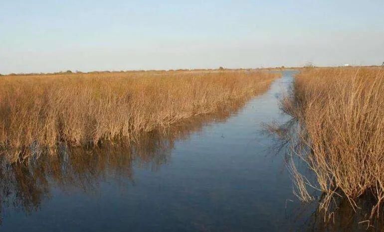  溺水中学生|悲剧！又一起！洛阳家长注意....