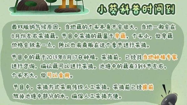  节目|《向往4》嘉宾挖藕被质疑是作秀，官博公开科普，打脸有点狠