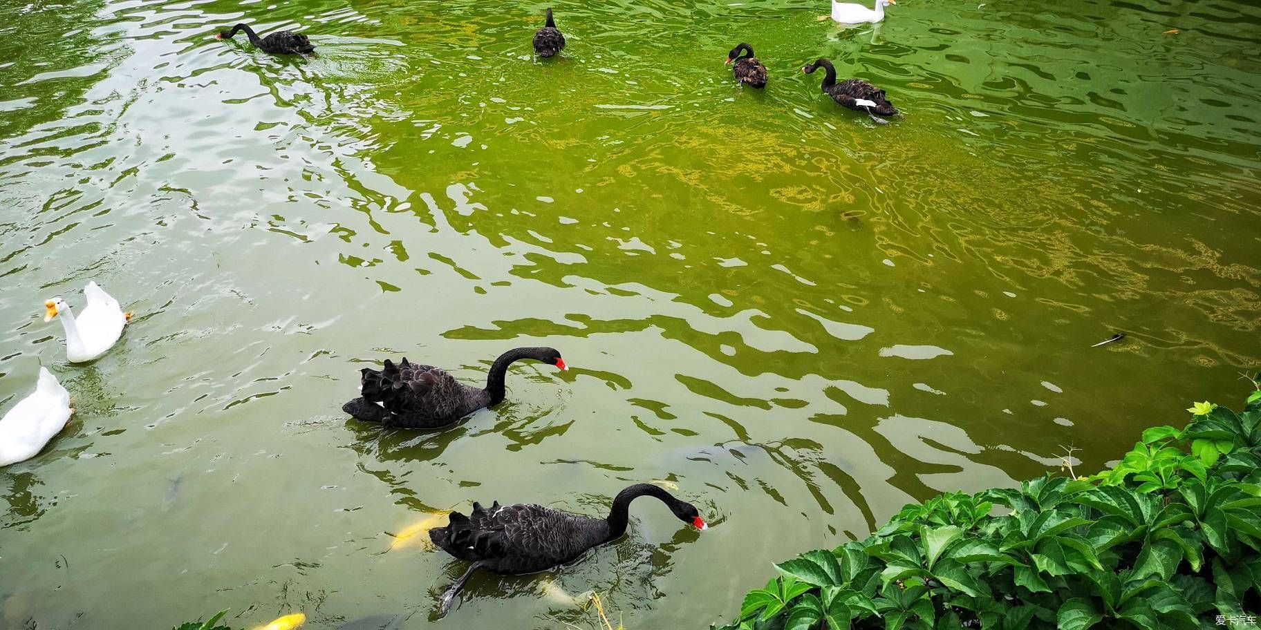  博物馆|游览中国园林博物馆