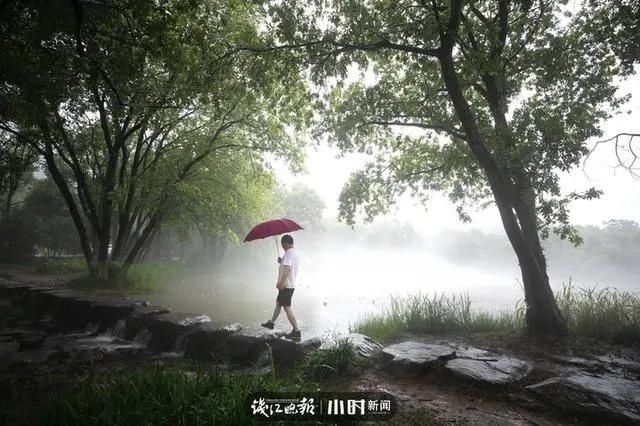  钱塘江|太仙！钱塘江“晨雾奇观”刷屏：恍如海市蜃楼