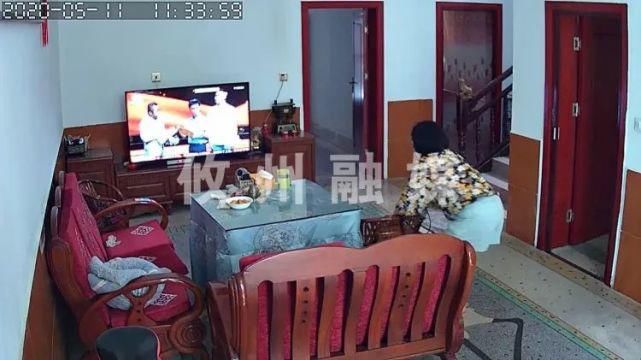 受害人|本性难移“五进宫”　不思悔改入室行盗再被捉