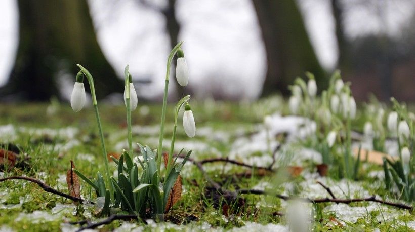  走出|7月底，痴情不移，走出爱情低谷的4星座，遇见前任，相逢如初见