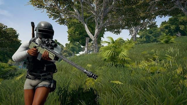  盗号|PUBG 特大盗号案告破，超三百万“吃鸡”账户被盗