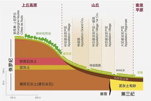  勃艮第|波尔多 VS 勃艮第