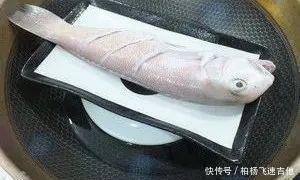 方头鱼|女性必吃的一种海鱼