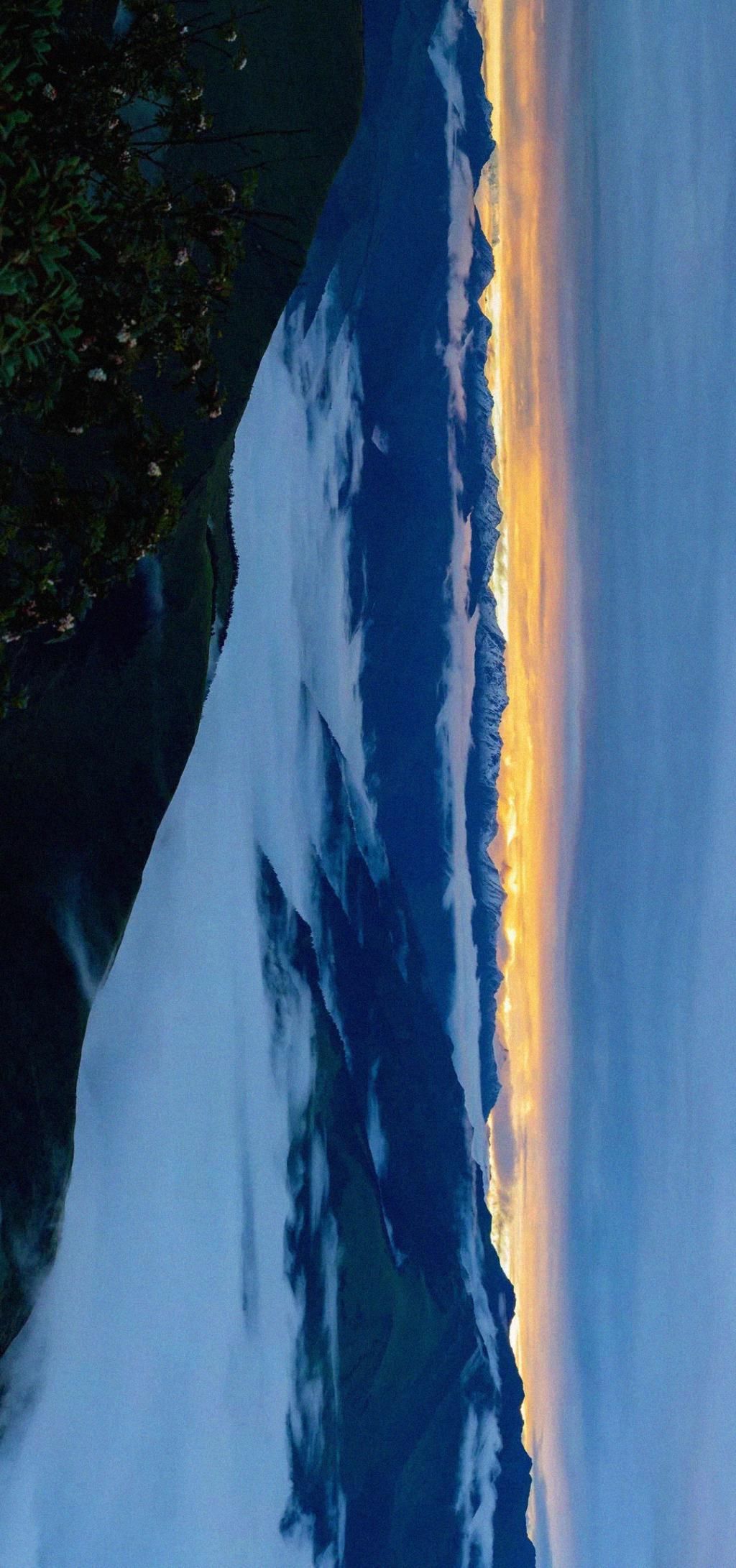  瞒不住|完了！雅安遍地大熊猫的事瞒不住了