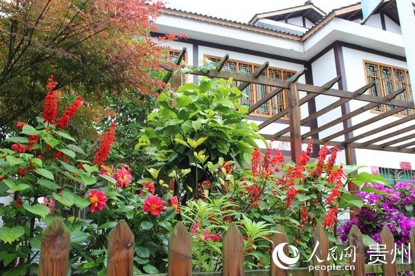 建档立卡贫|开阳南江：公益岗位让文明之花更红火