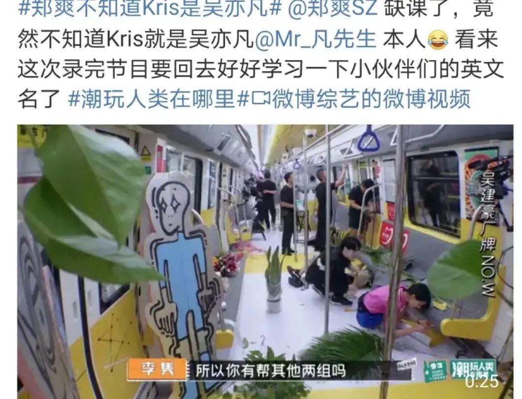  八卦|小八卦，杨紫赵薇，毛不易，刘昊然，白宇