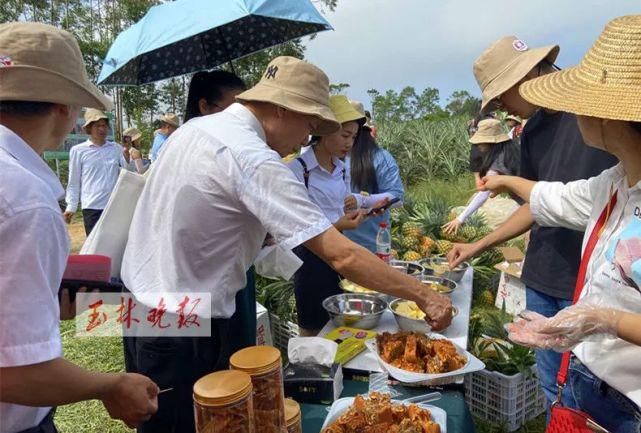 仁东镇鹏垌|令人骄傲！玉林这些地方的变化真大