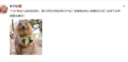  更换|时代少年团为躲私生，更换住所和训练场地，竟被5元给“出卖”了