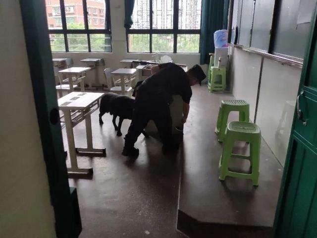 电话|前妻不接电话，醉汉打市政电话自称要炸加油站，刑事拘留