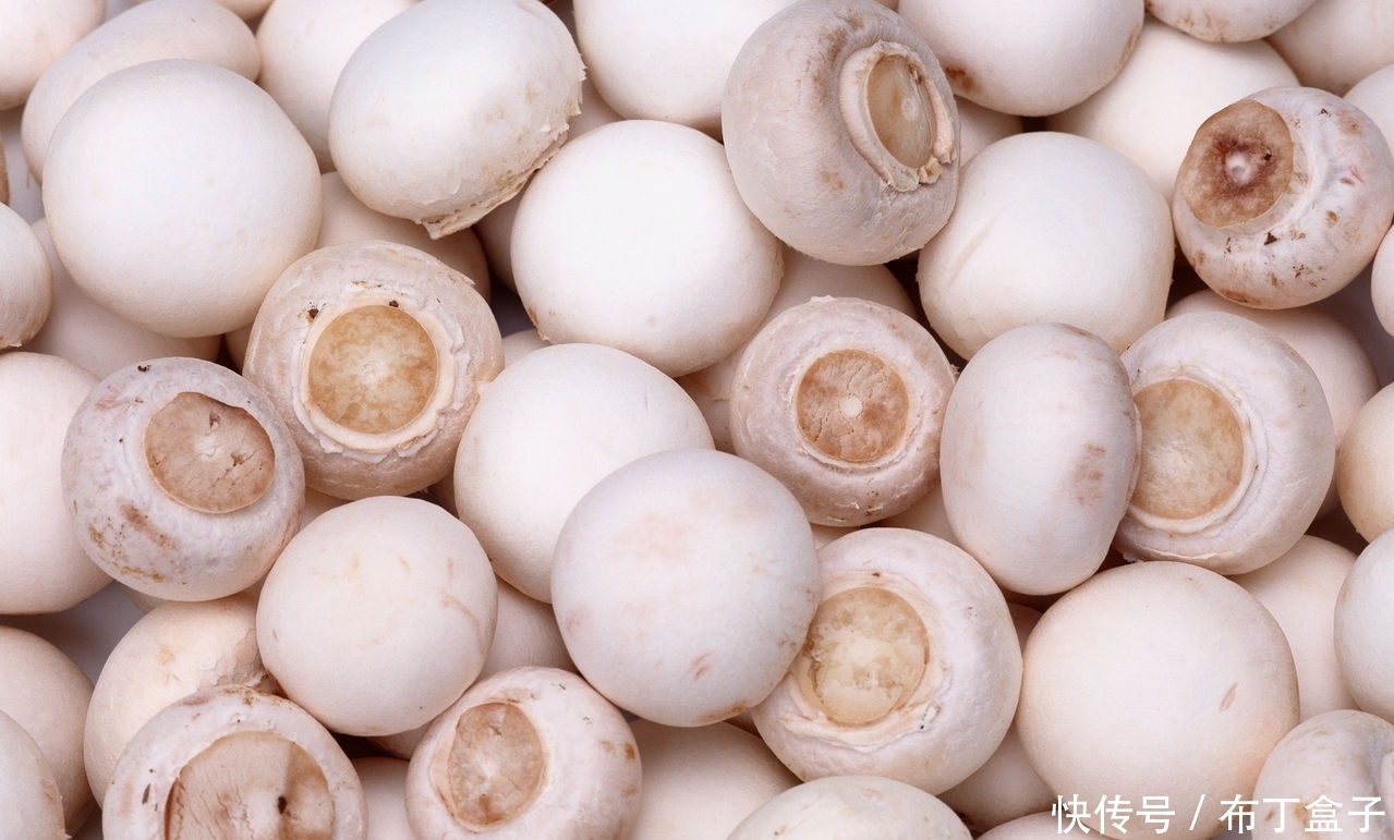 养颜|它才是“胃肠清道夫”,帮助消化,健脾养胃,改善便秘,排毒养颜