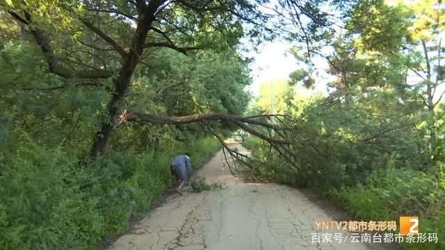 喜欢|“把我所学的、我的爱好传给喜欢的学生”陡普鲁小学里的拳击教练