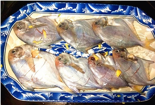 营养|遇到这鱼不手软,20元1斤贵点,但肉多刺少营养高,适合老人孩子