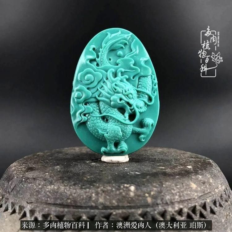 血放|多肉让你把血放，文玩掏空你家当，你要在哪个坑里乘风破浪？