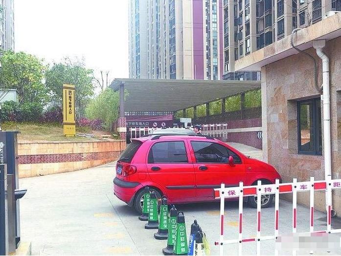  垃圾堆|车停小区门口6天没挪，车身变成“垃圾堆”，女车主看到爱车哭了