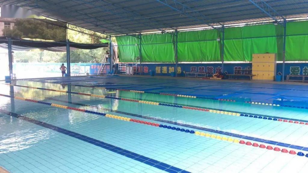  游泳池|不游泳，不夏天！苍南县各游泳池（馆）大盘点！