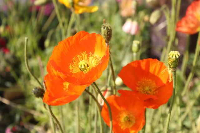 视频|父亲抱摔幼儿固然是罪无可赦,拍摄视频的母亲又该当何罪