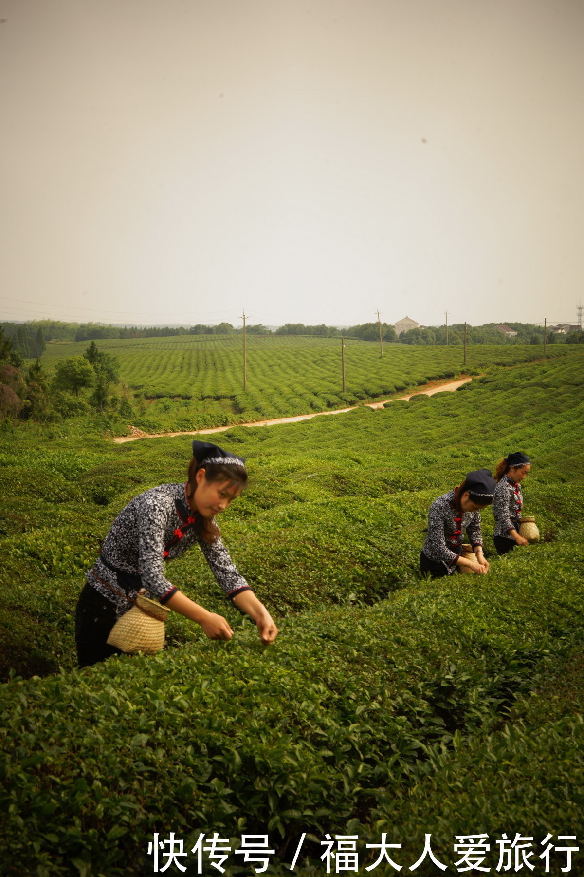  渔港古城|一条自驾游路线玩江南，6天1200公里，贯穿江浙皖三省18个王牌景点