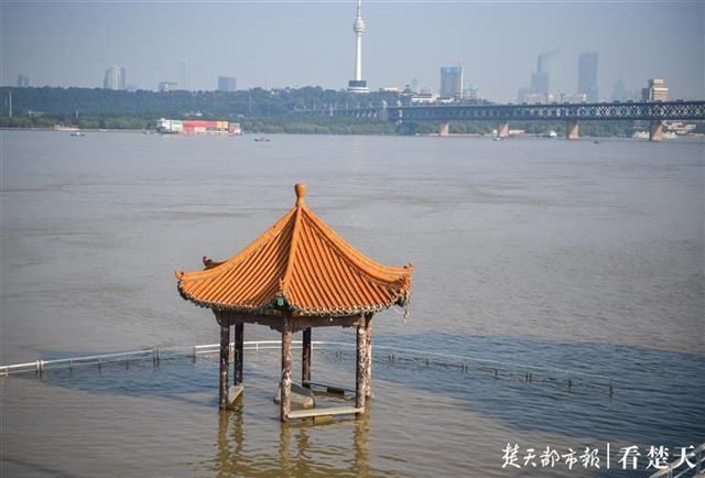 洪水|洪水“标尺” 武昌黄花矶凉亭在江水中露真颜