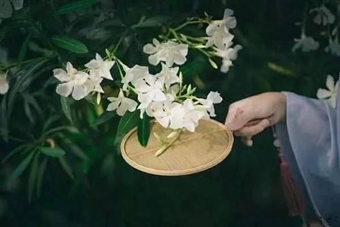  性别|《第一炉香》：充分利用性别优势的葛薇龙，为什么抓不住幸福？