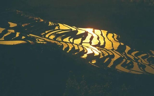 生长|云之南，一个生生不息、万物生长的地方