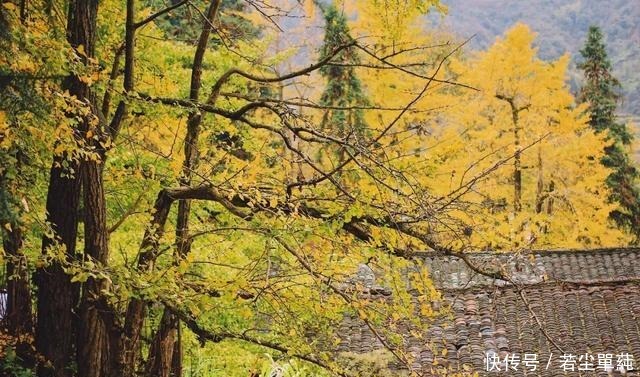 小城|广东人不能吃辣这座距省会1小时的粤北小城,能把你辣的头掉!