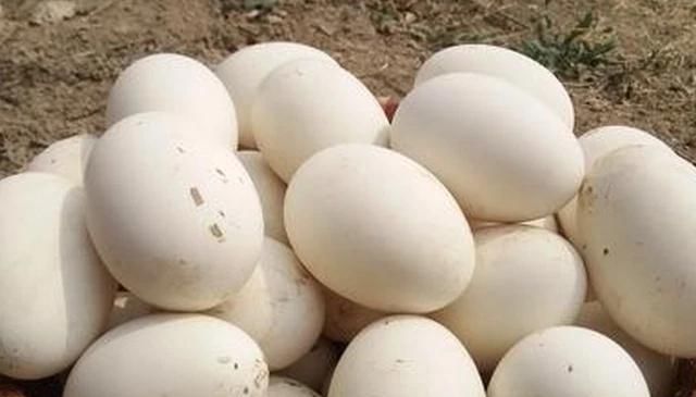  宝宝|女人怀孕后，平时尽量多吃4种常见食物，或许宝宝出生后白净漂亮