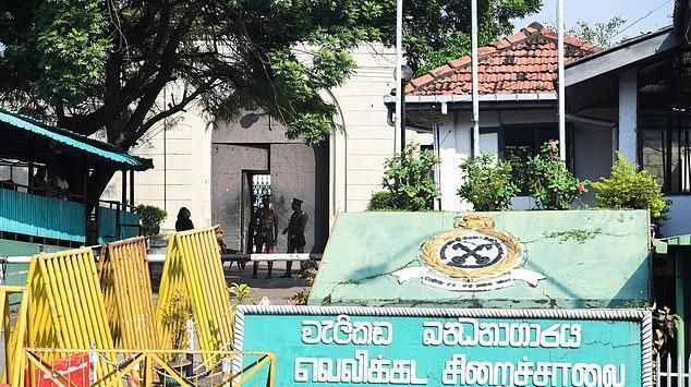  别乱|囚犯用流浪猫在监狱里运毒！猫咪被抓后遭训：别乱信人类