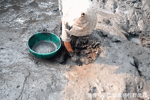 到底|搞笑GIF:美女别再拍了,饭到底还做不做了